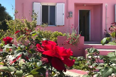 Pesádha Pink Houseヴィラ エクステリア 写真