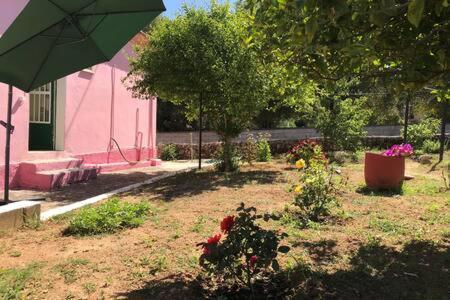 Pesádha Pink Houseヴィラ エクステリア 写真